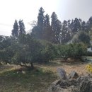 회수동-1 이미지