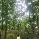 마음쿠킹협동조합 이미지