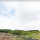 용강목장2 이미지