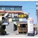 고등어회결사 이미지