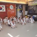 최강웅비태권도 이미지