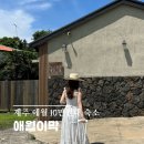 애월이막 | 제주 애월 10만원대 제주스러운 감성숙소 추천 ‘애월이막’ 독채 후기