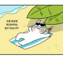 동심 이미지