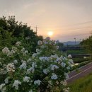 솔모루약국 이미지