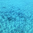 구민버스(주) 이미지