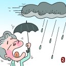 장마 이미지