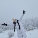 초정참숯가마찜질방 이미지