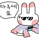 얼리래터 이미지