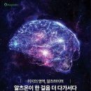 피플 티스토리
