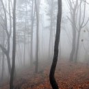 북방3 이미지