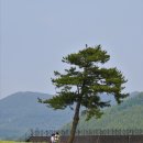 보롬제주 이미지