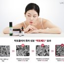 락토이지