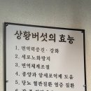 비봉상황삼계탕오리불고기 이미지