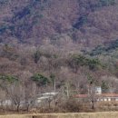 고려대학교 덕소농장 이미지