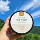 산속청년들 이미지
