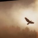 극단예린 소극장 이미지