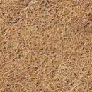 코이어(coir)
