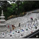 성지중학교 이미지