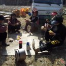 파주유황삼채 이미지