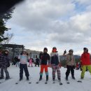 충주남한강초등학교 이미지