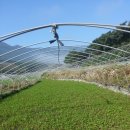 한재로타리 이미지