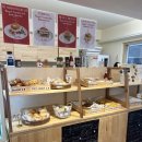 찌꼬뽀꼬 광안펫스테이션점 | l 부산 광안리 l 비사이드 베이글 카페 &amp; 고양이카페 피피피 펫스테이션점 맛집 데이트 가볼만한 곳