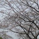 (주)오세요 이미지