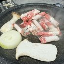 삼오집233