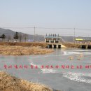 선두포낚시터 이미지