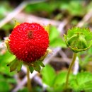 예슬이네 이미지