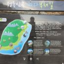 심곡주차장 | 강릉 정동심곡 바다부채길 – 겨울 동해 트레킹 / 심곡항 출발 왕복 코스 후기