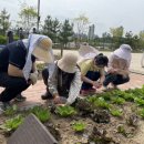 양주도담학교 이미지