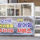 대포리 | 대포항 최고의 전면 바다뷰 맛집 속초맛집 대포리 방문 후기를 공유합니다