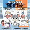 엔큐엔에이 | 약사가 알려주는 영양제] 일반 엽산 vs 활성형 엽산, 도대체 뭐가 다를까? (ft. 엔큐엔에이 에이에프드림)