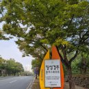 일성보문콘도미니엄 | 경주 여행 숙소[일성 경주 콘도 &amp; 리조트]정보 및 이용 후기!!