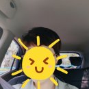 묭실 이미지