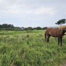 상모리-28 이미지