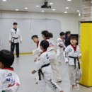 타이거즈 태권도 이미지