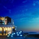 매료 37.5 이미지