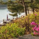 쉼이있는자유 이미지