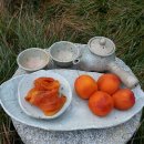 송운농장 이미지