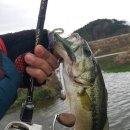 우정낚시터 이미지