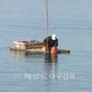 울릉도식품 이미지