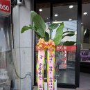 신토식육점