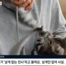 양심목장 이미지