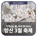 양산 3월 축제(원동行 남행열차) 이미지