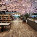 같이푸드 이미지