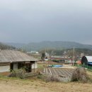 가리골농장 이미지