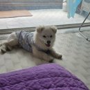 오태동물병원 이미지