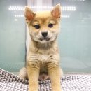 (주)명한에너지 이미지